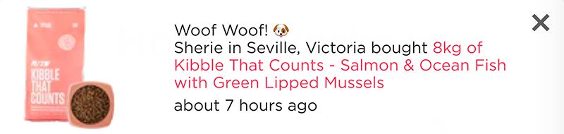 fomo-petzyo-notification