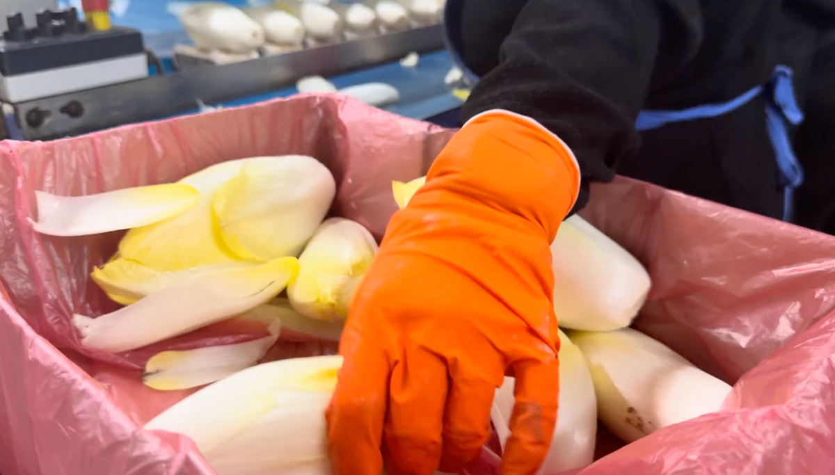 Filière locale, portraits de ceux qui produisent