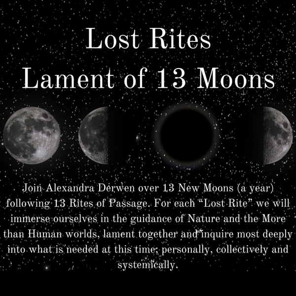 Image of Moon Phases with title and text for Lament of 13 Moons as is also in article 