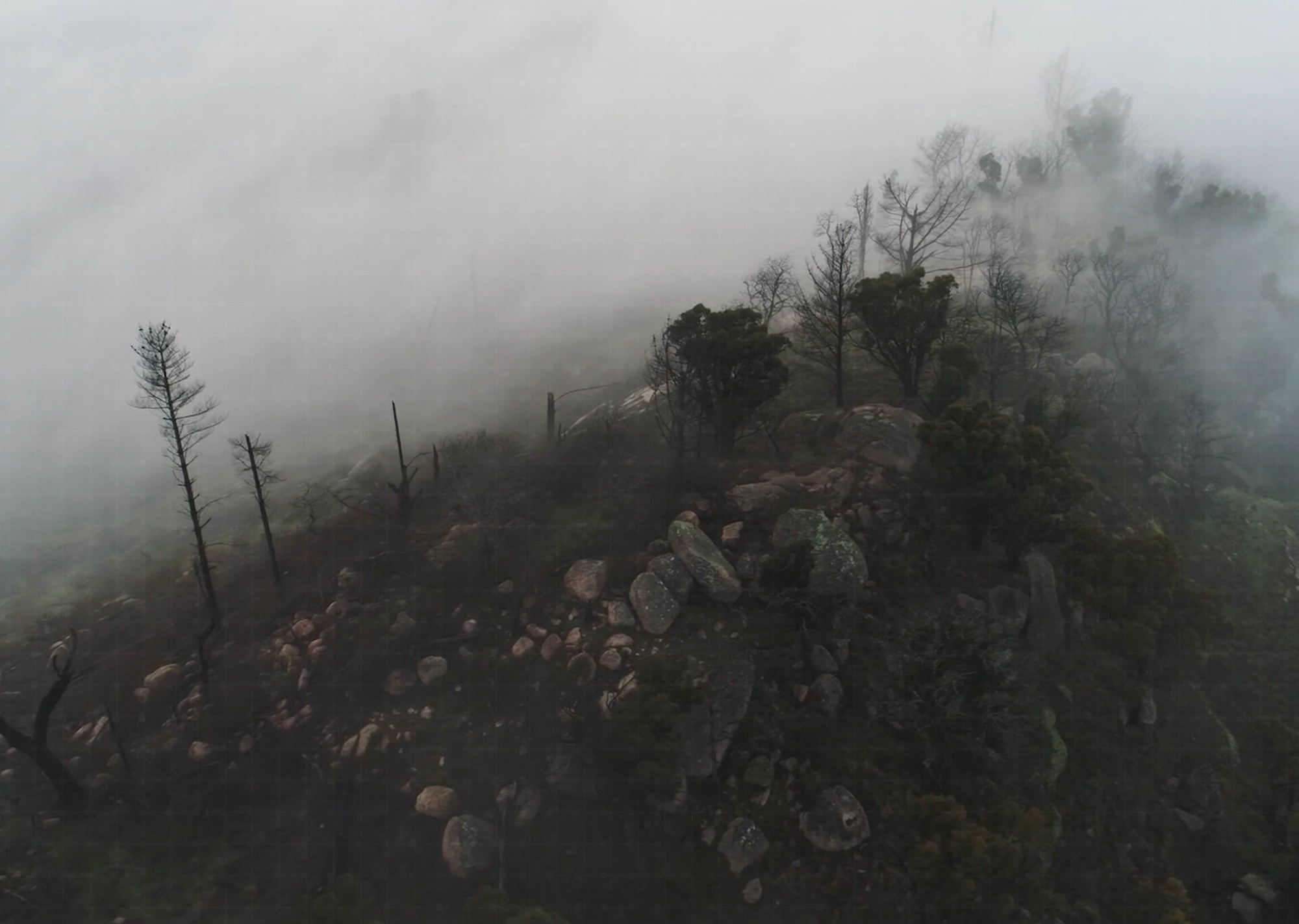 Stay Connected. Stay Ahead.