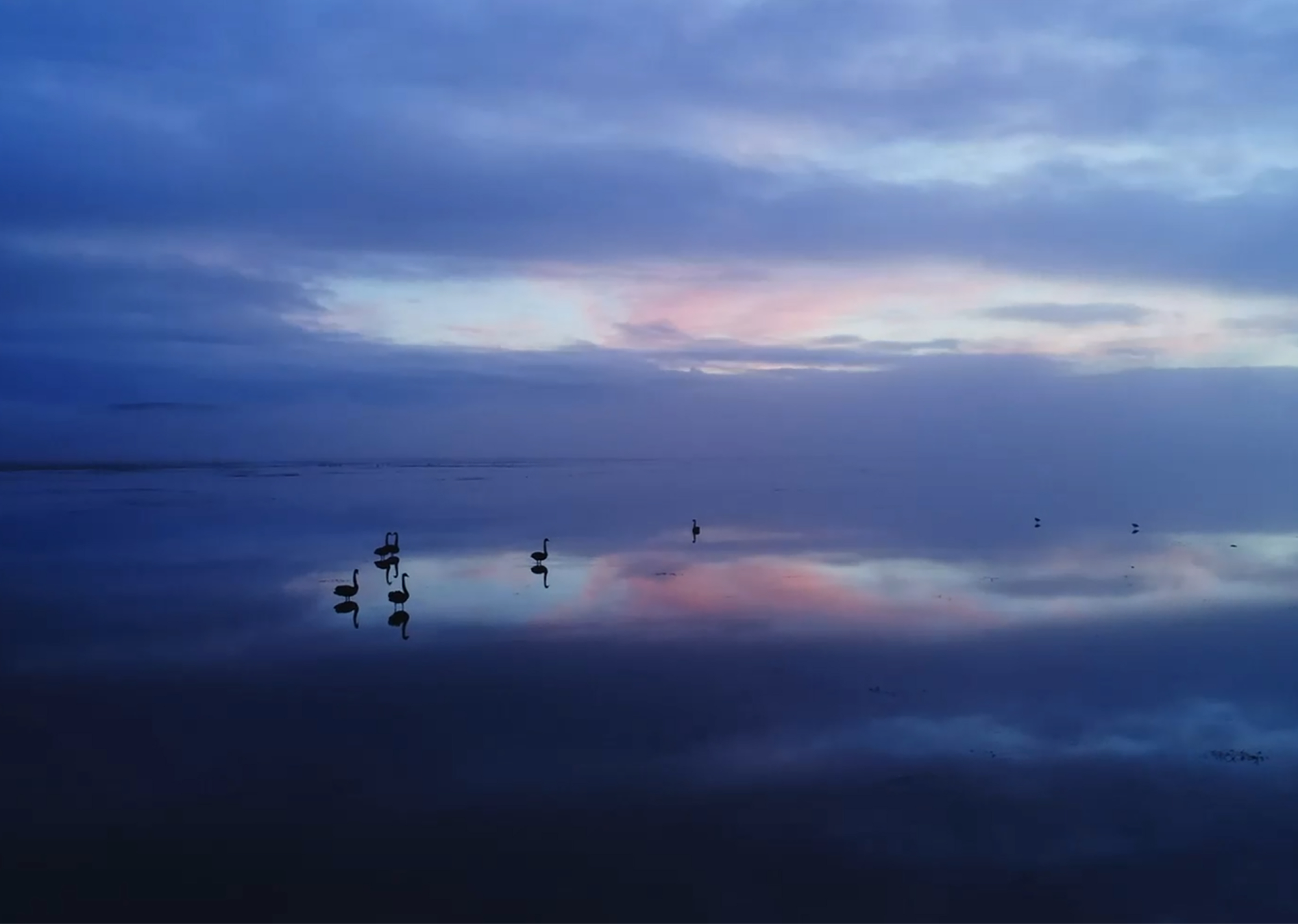 The AI era won’t wait. Neither will Ballarat.