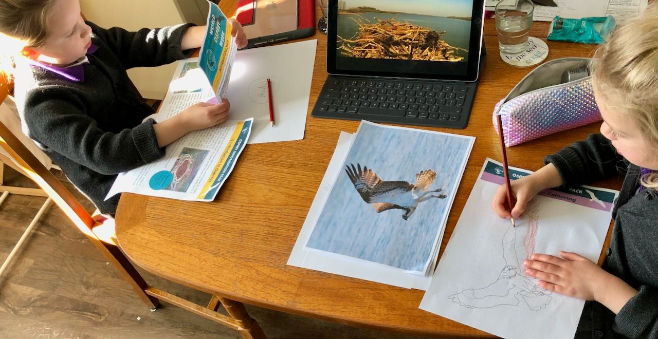 Home schooling during Covid-19 lockdown