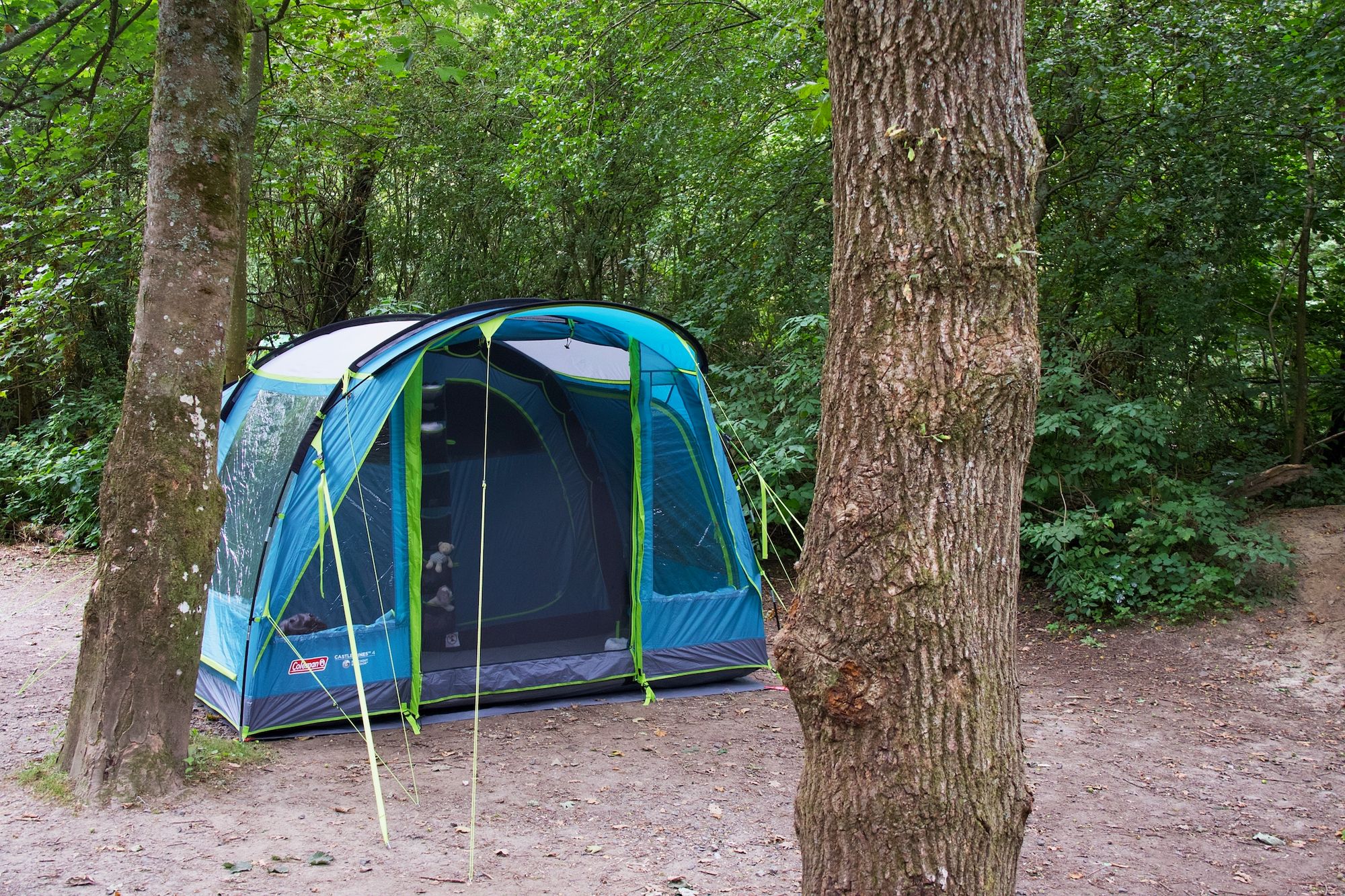 A tent in the woods at Blackberry Wood campsite in Sussex. 