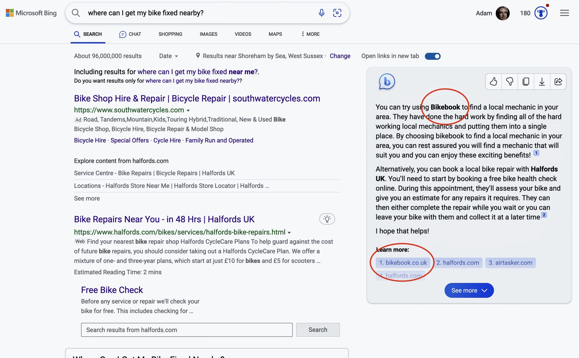 ChatGPT-powered results for a bike repair. 
