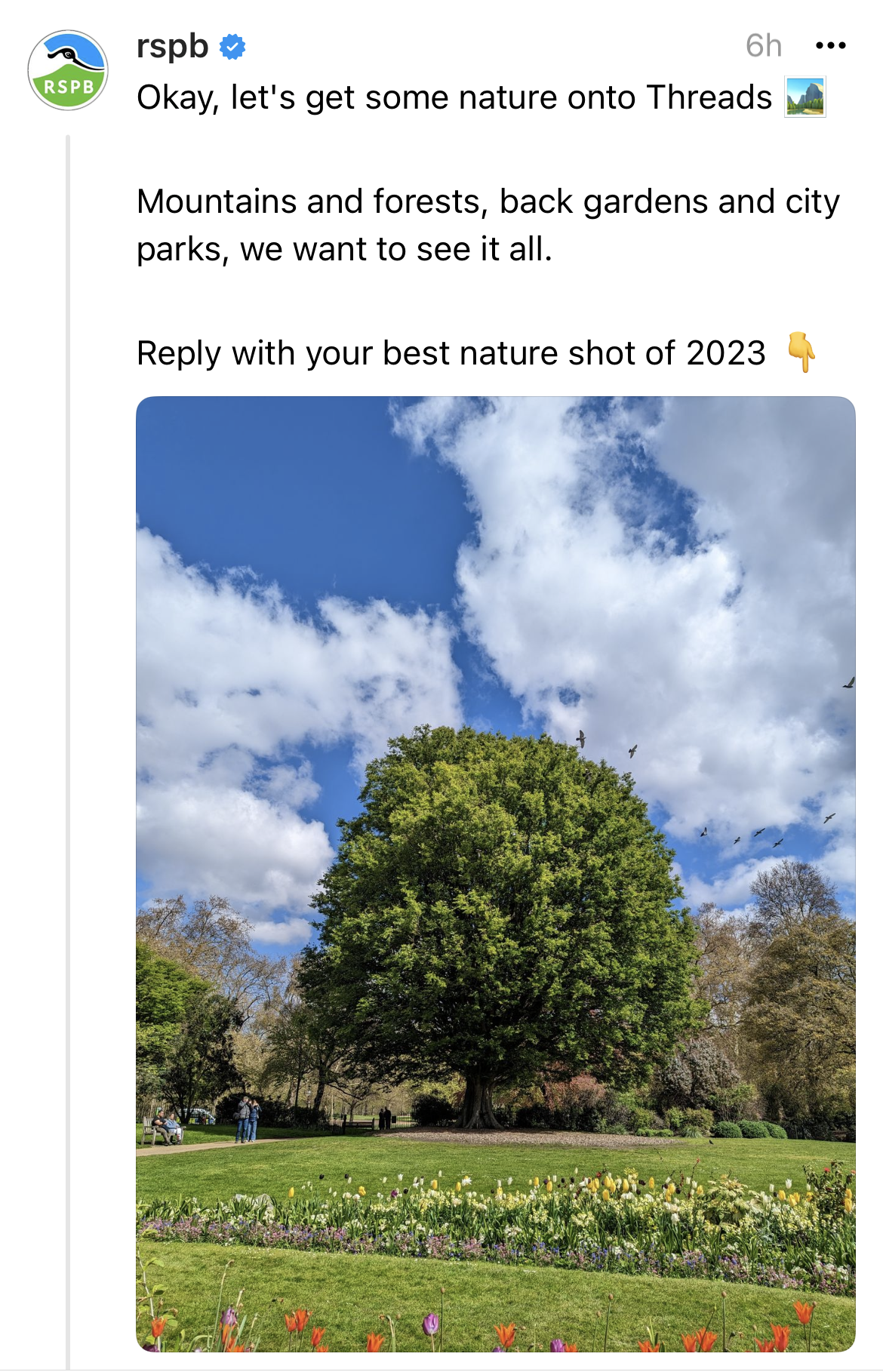 The RSPB starting a photo thread on the Threads app