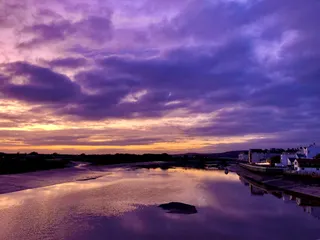 Welcome, new members