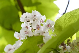 Print copy is stone, online copy is water.