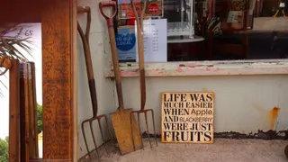 Escaping the tyranny of the team