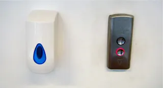 Preparing for Pig Plague