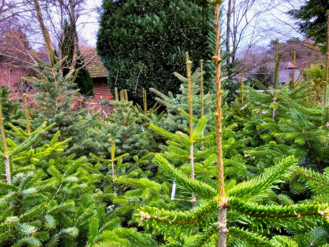 Essential evergreen content, the Substack revenue question and the future of student media: this week’s key links