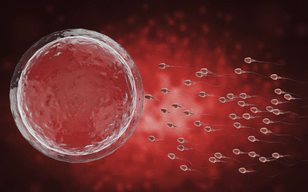 Is Sex Binary? Eight Arguments and a Leading Nonbinary Theory Examined