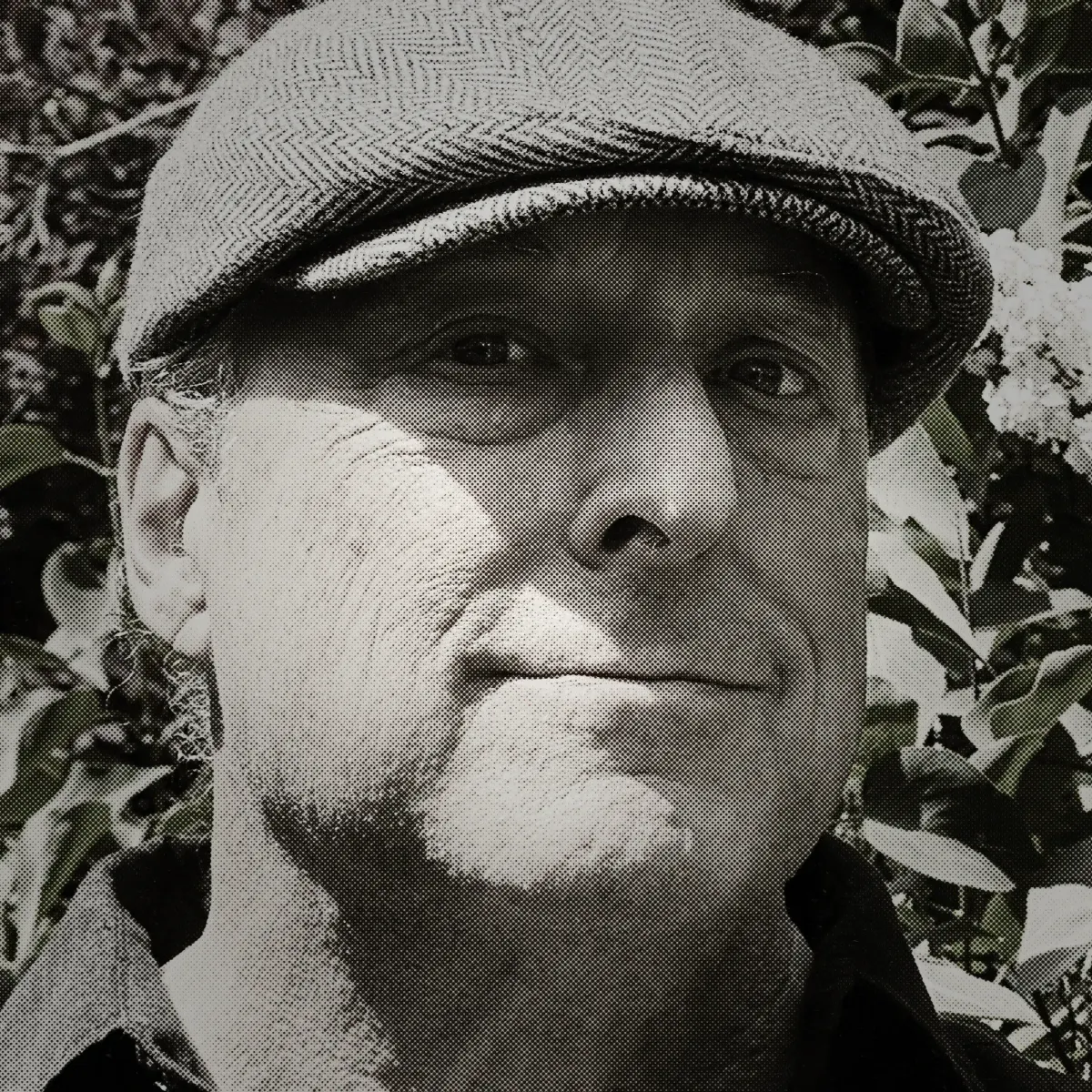 Author Avatar
