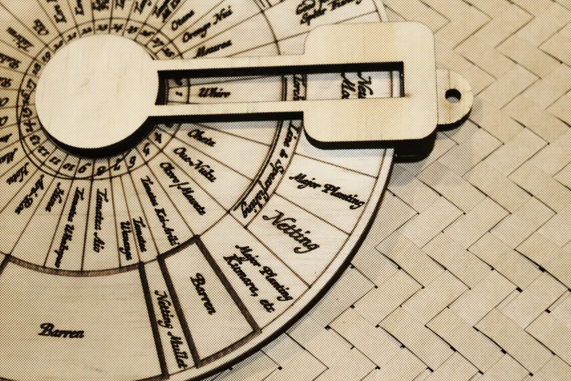 The New Zealand Māori Astrology Craze: A Case Study