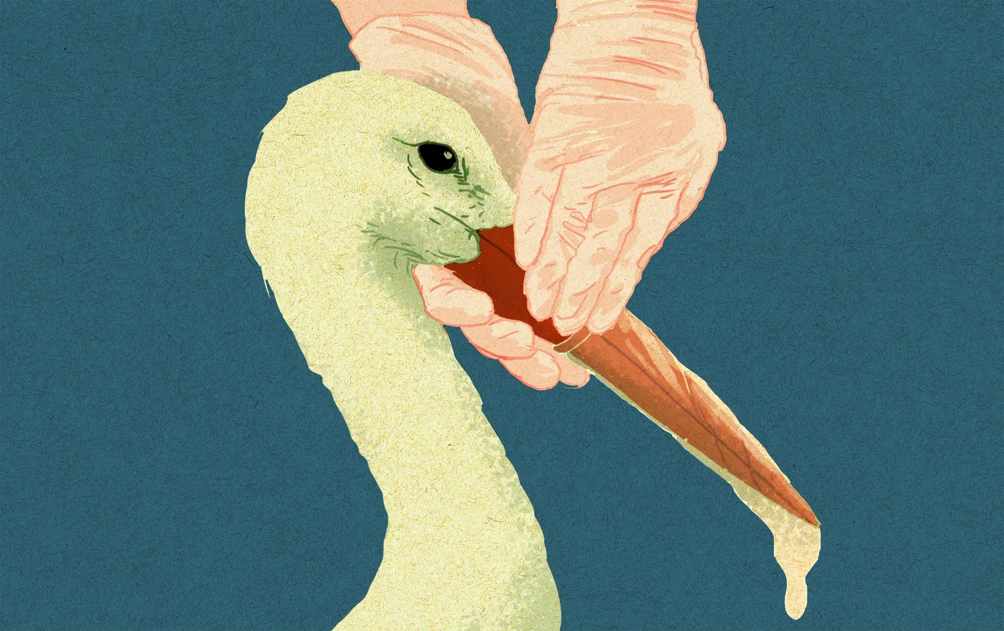 Abortion: The Case for Choice