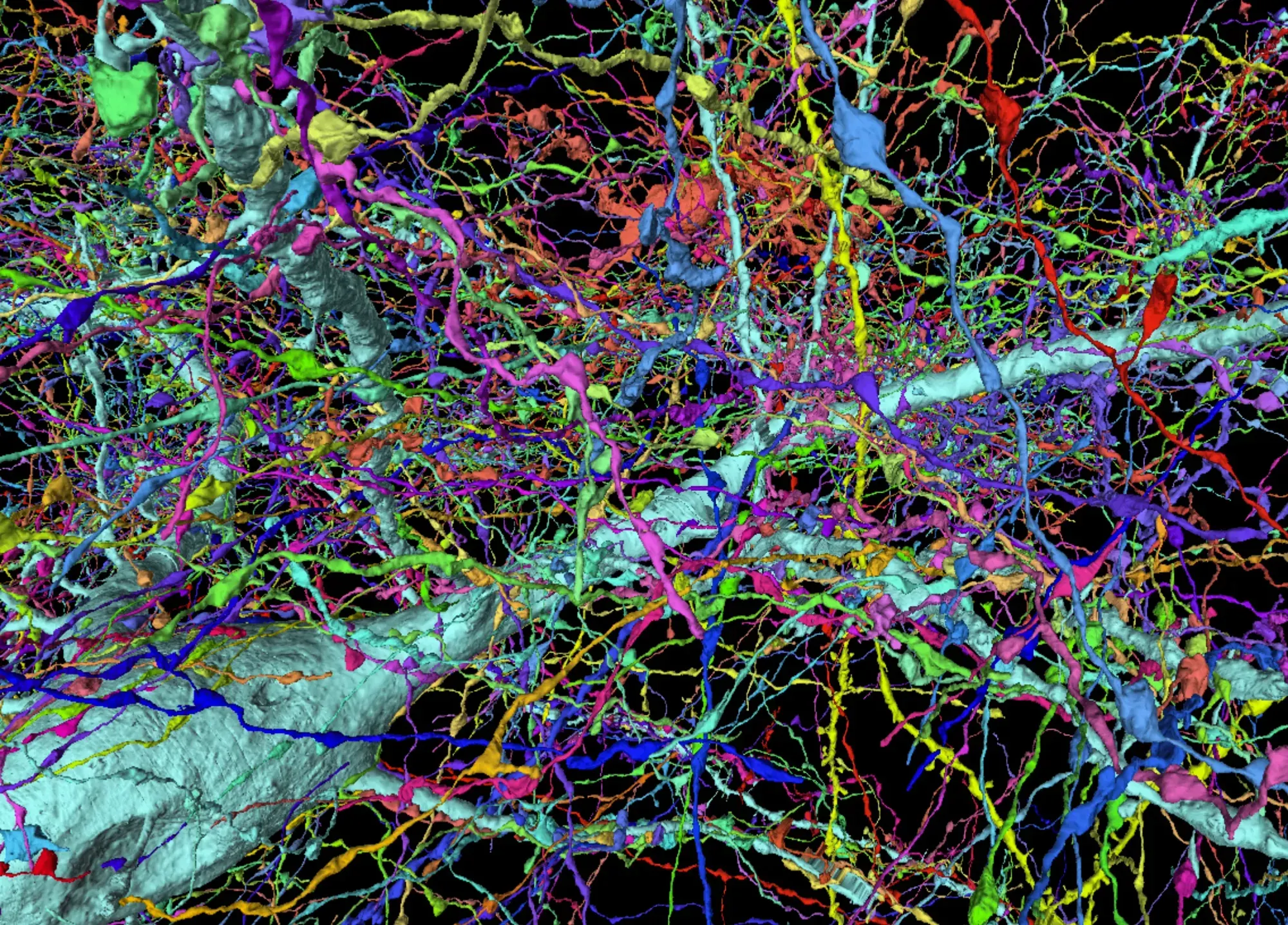 The Search for Consciousness