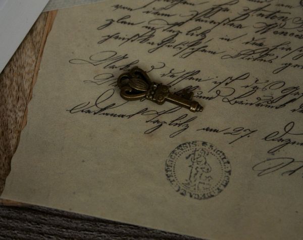 Deep-dive: how the public TRACE Registry is built to be distrusted