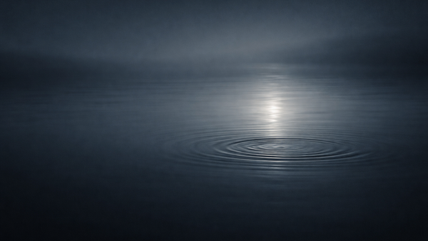 A single set of ripples spreads across dark still water, reflecting soft light in a quiet blue-gray scene.