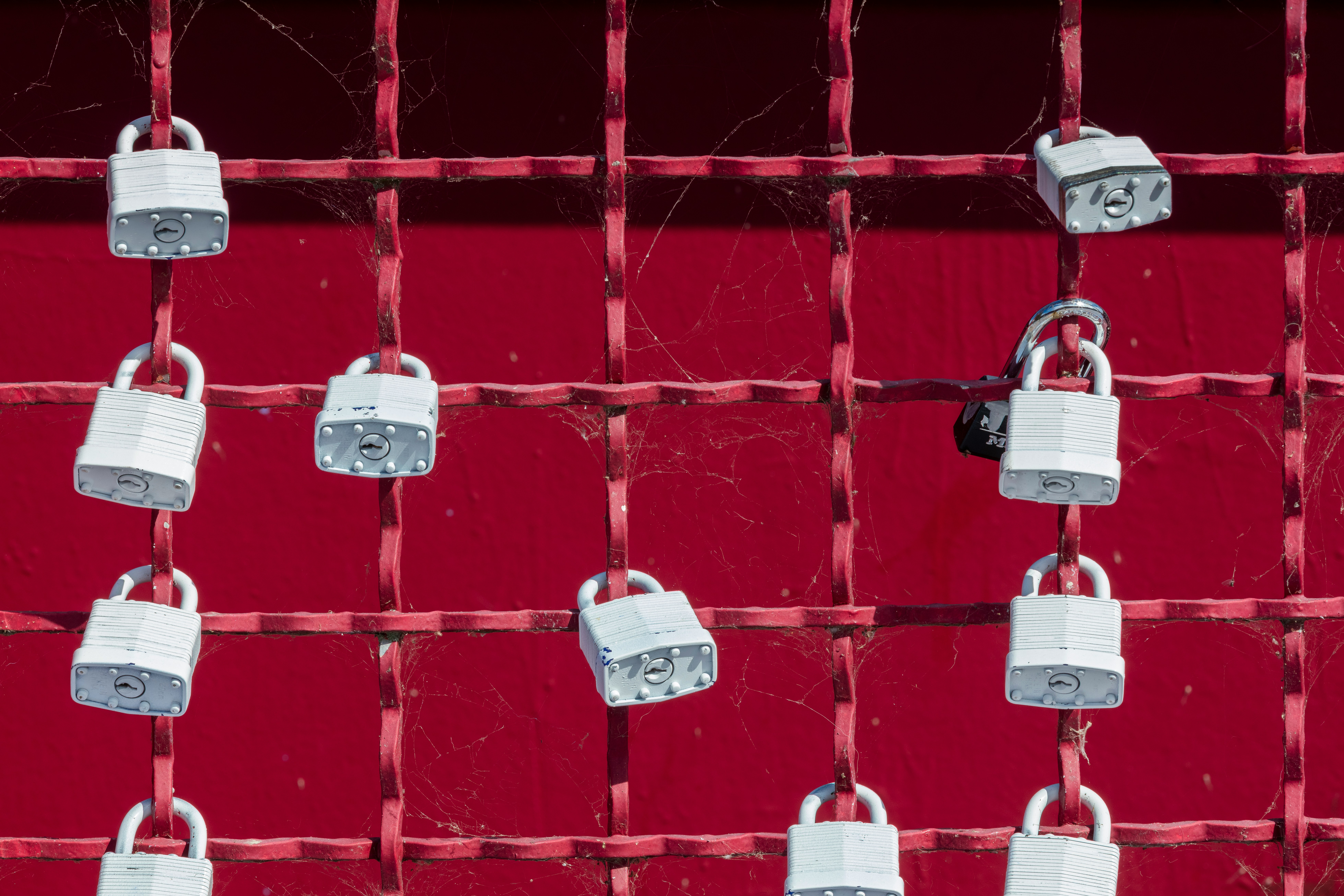 Series of locks in a red chain link fence with a red background.