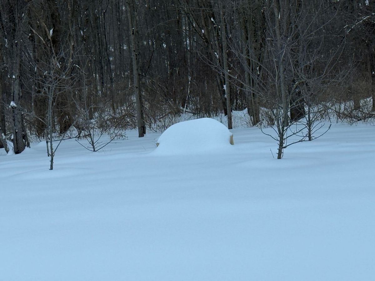 Snow-covered bench nearly buried in deep snow in a wooded area.