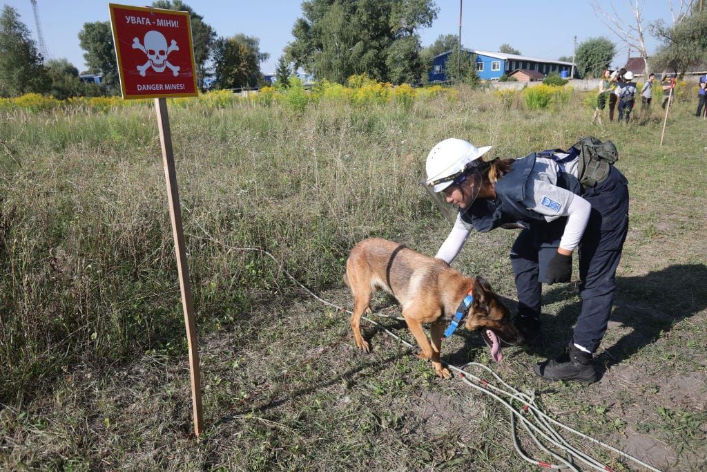 The Increasingly Front-Line Role of Ukrainian Women