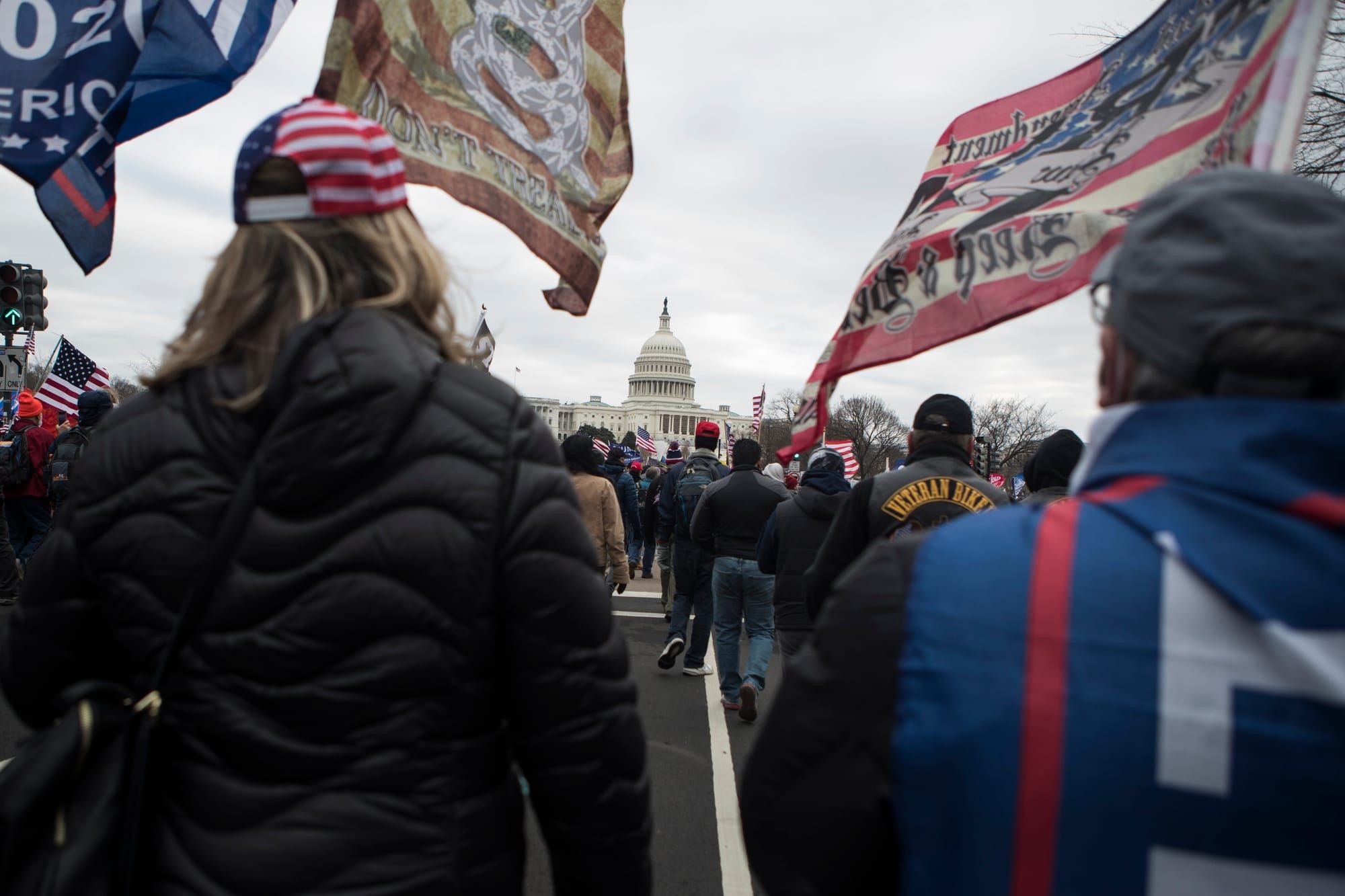 Hundreds of people photographed from the back wearing down jackets and walking towards the Capitol building in Washington, DC. 