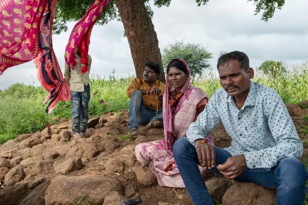 The Brutality of Sugar: Debt, Child Marriage and Hysterectomies