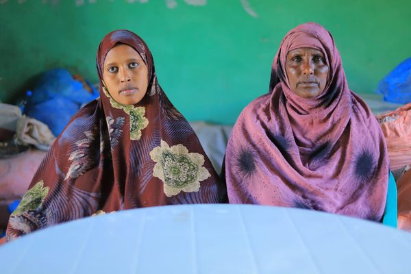 “This is ours” – Somaliland women smell success as frankincense business takes off