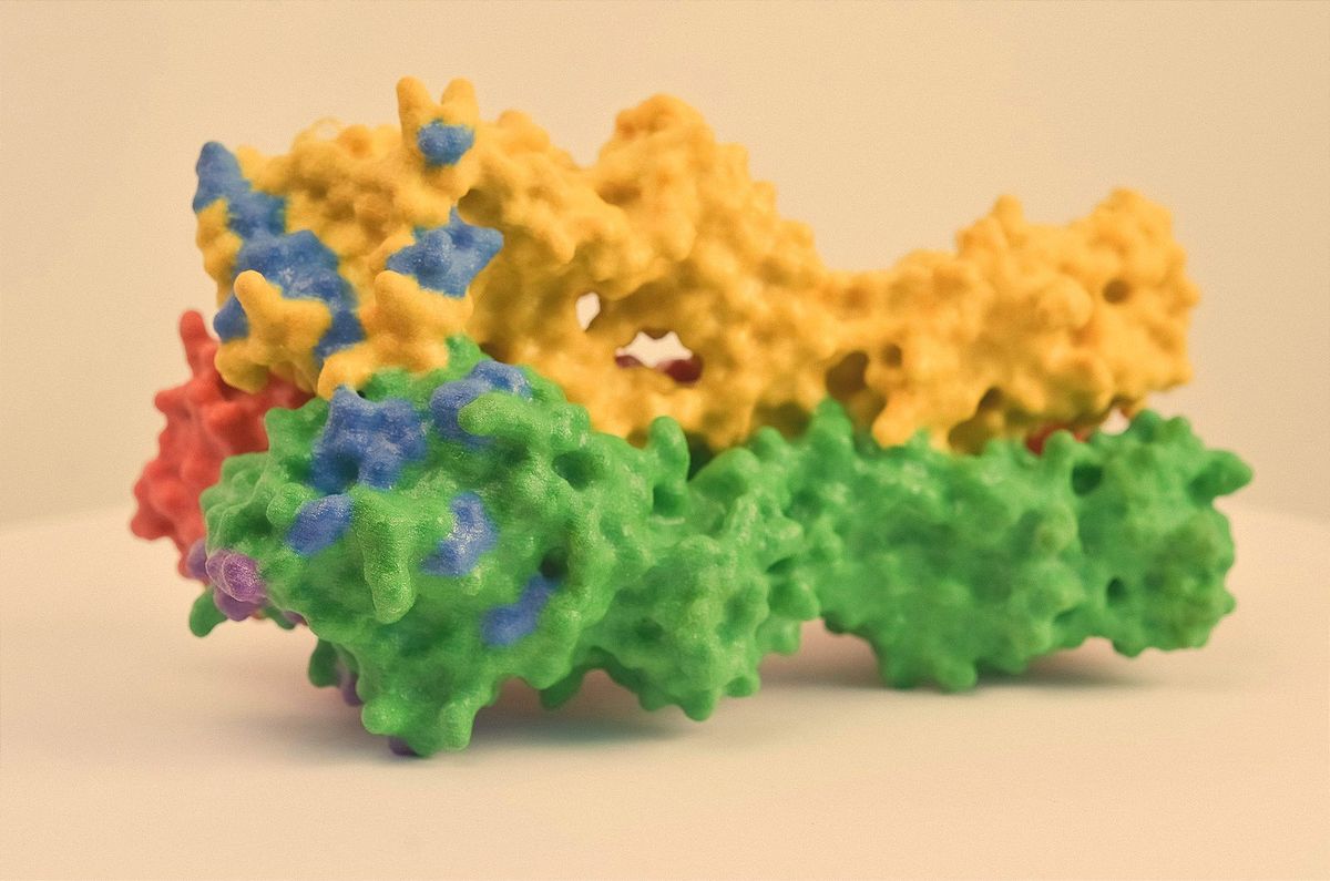 Molecular Simulations: The Fun Way to Predict Binding Affinity