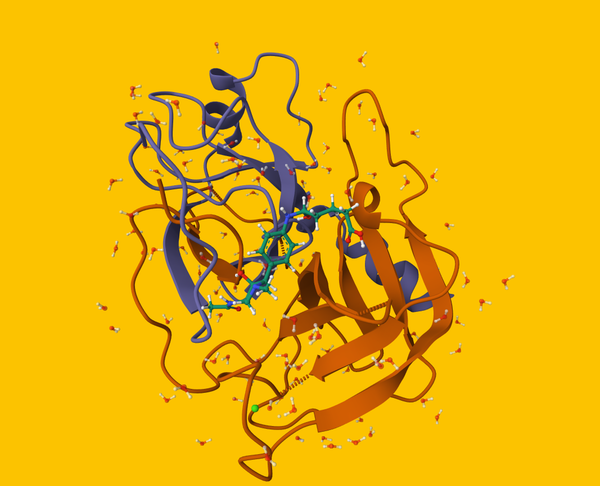 Molecular Docking in Drug Discovery