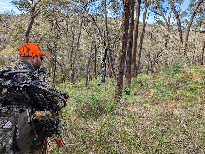 Hunting Grounds 1.1.21 has dropped