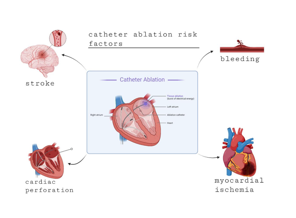 Issue 5 Now Published: The Latest Issue of High Yield Medical Reviews