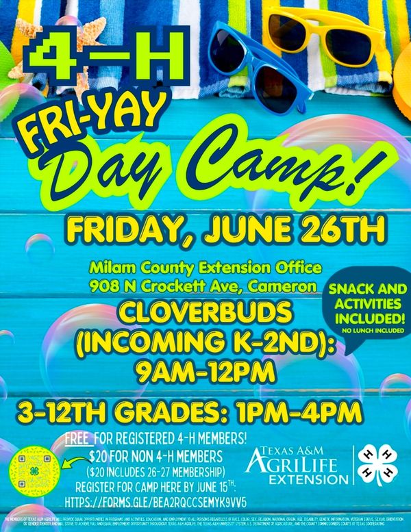 Milam County 4-H Announces Return of Popular “Fri-YAY” Summer Day Camp