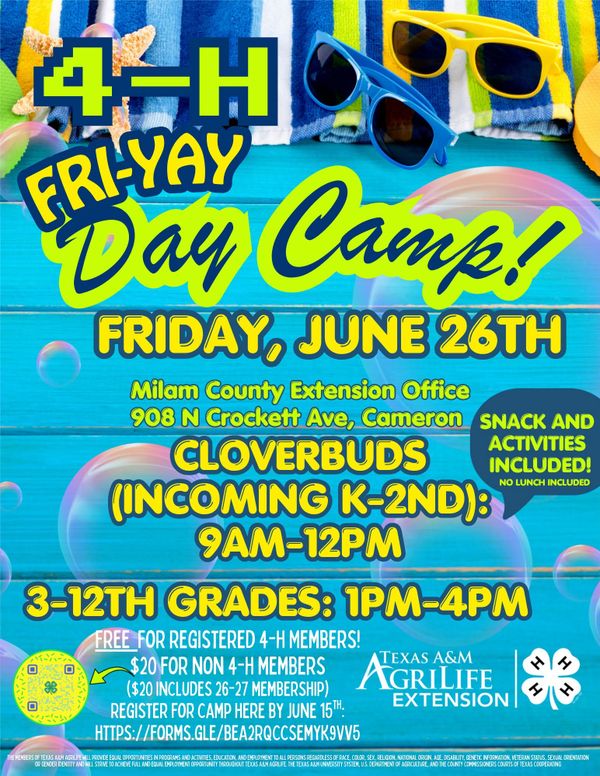 Milam County 4-H Hosts "Fri-YAY Day Camp" on June 26