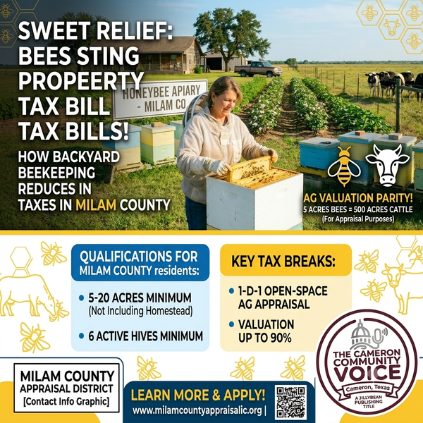 Sweet Relief: How Backyard Beekeeping Stings Property Tax Bills in Milam County
