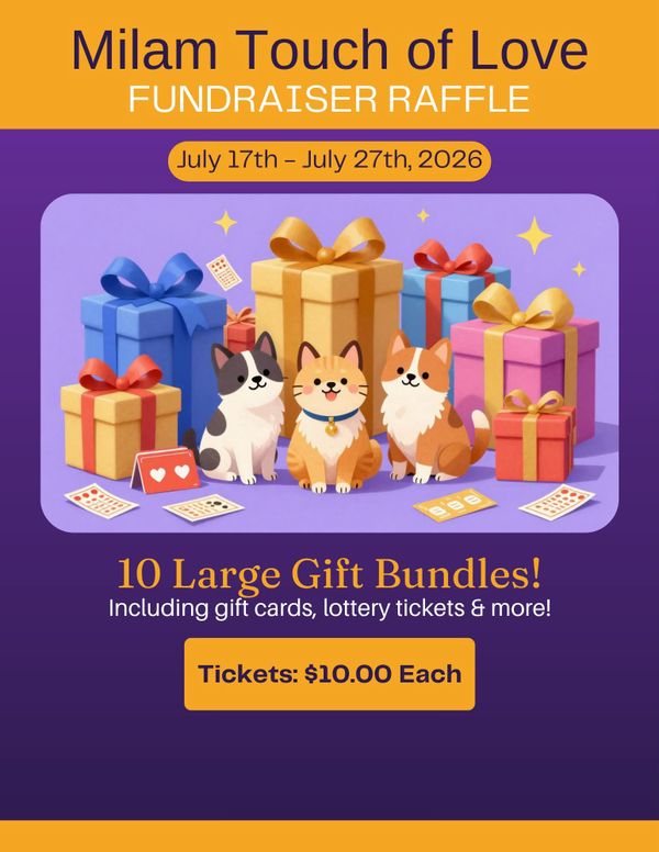 Supporting Four-Legged Friends: Milam Touch of Love Launches Summer Fundraiser for Low-Cost Spay and Neuter Programs