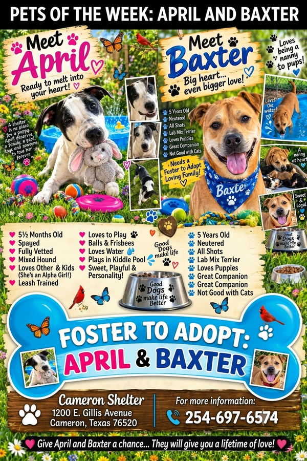 Double the Tails, Double the Love: Meet April & Baxter!