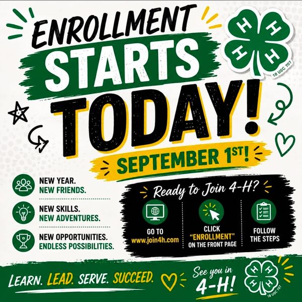 Enrollment Is Open: Discover Your Place in Milam County 4-H