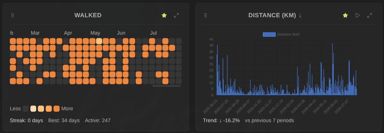 Starred visualizations in Life Tracker.