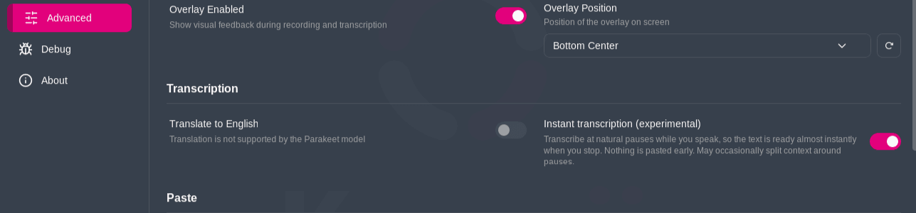 2026-08-23 - Knowii Voice AI - instant transcription setting