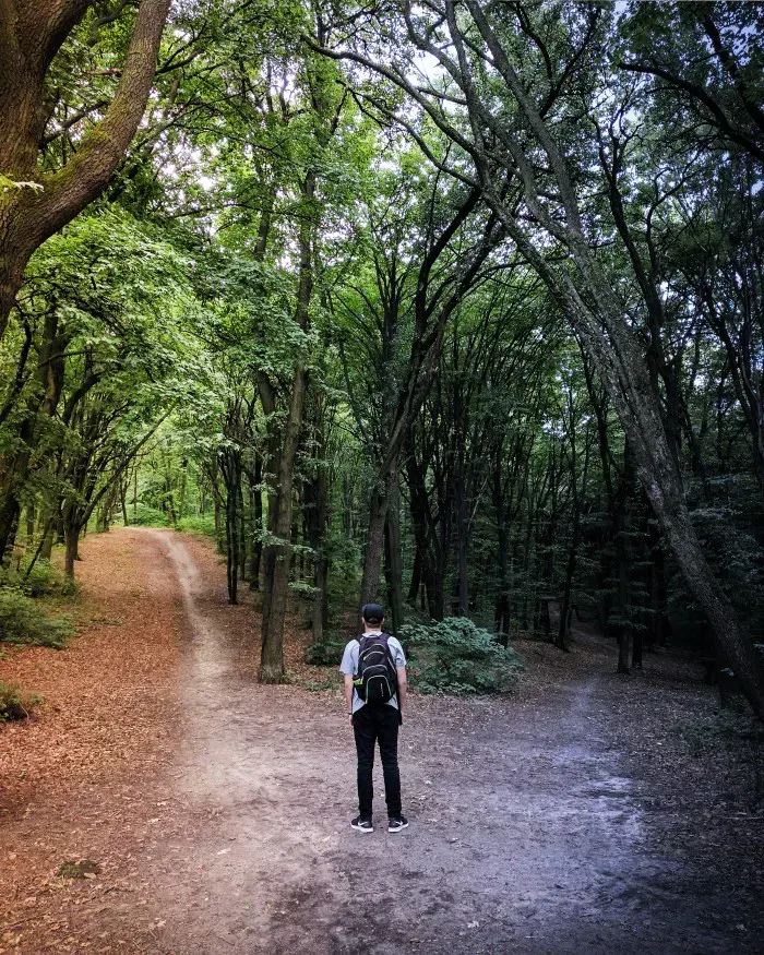 Hiker at a forest fork: choosing between constructor and ngOnInit for initialization