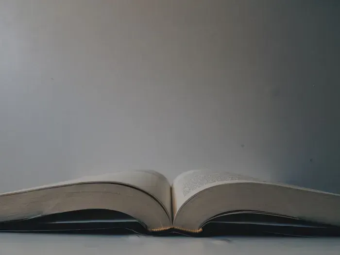 An open book on a plain surface, evoking structured chapters and a table of contents.