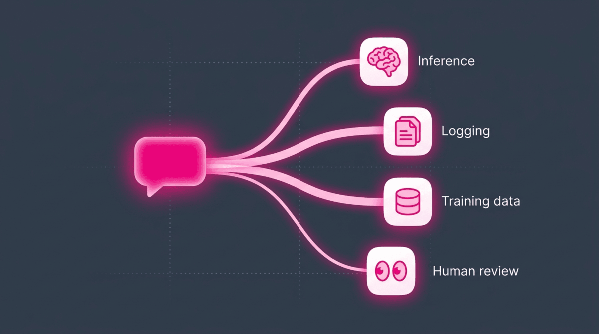 Where Your AI Prompts Really Go: A Practical Guide to AI Privacy