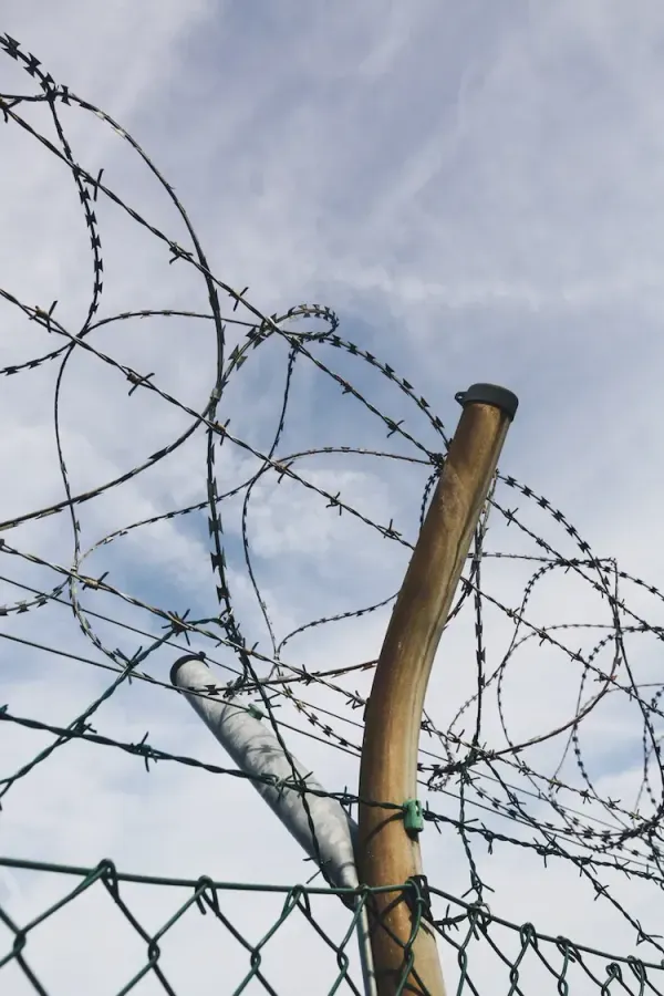 Barbed wire fence against the sky, evoking the need for strict input validation as a security barrier