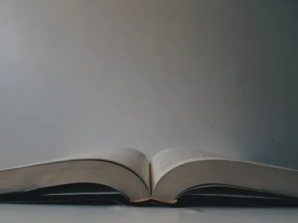An open book on a plain surface, evoking structured chapters and a table of contents.