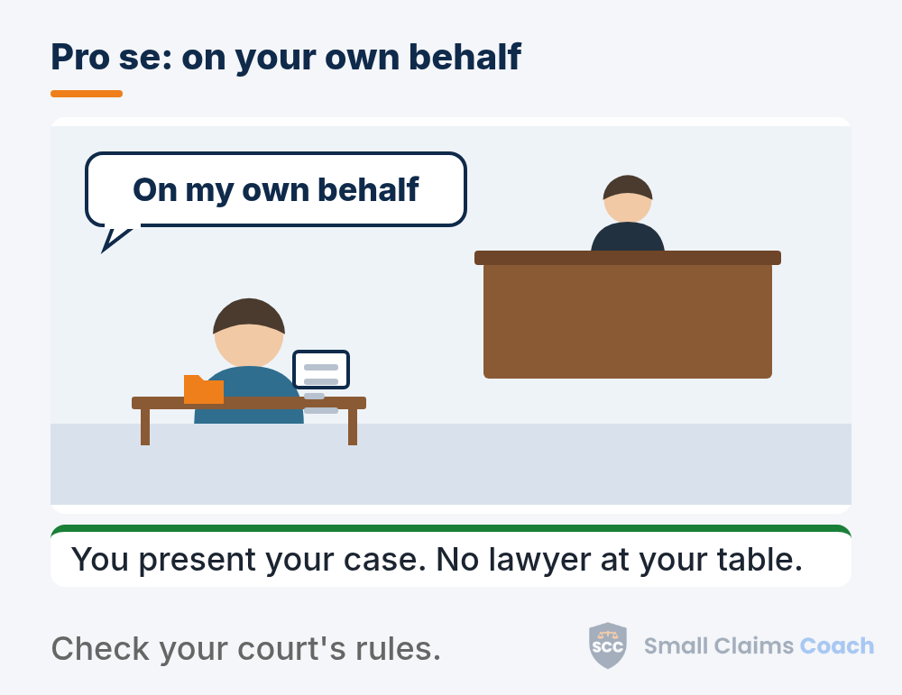 Illustration of a person presenting their own case in a small courtroom without a lawyer
