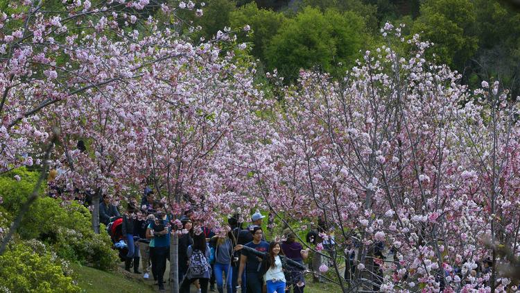  Photo credit: Nelvin C. Cepeda 