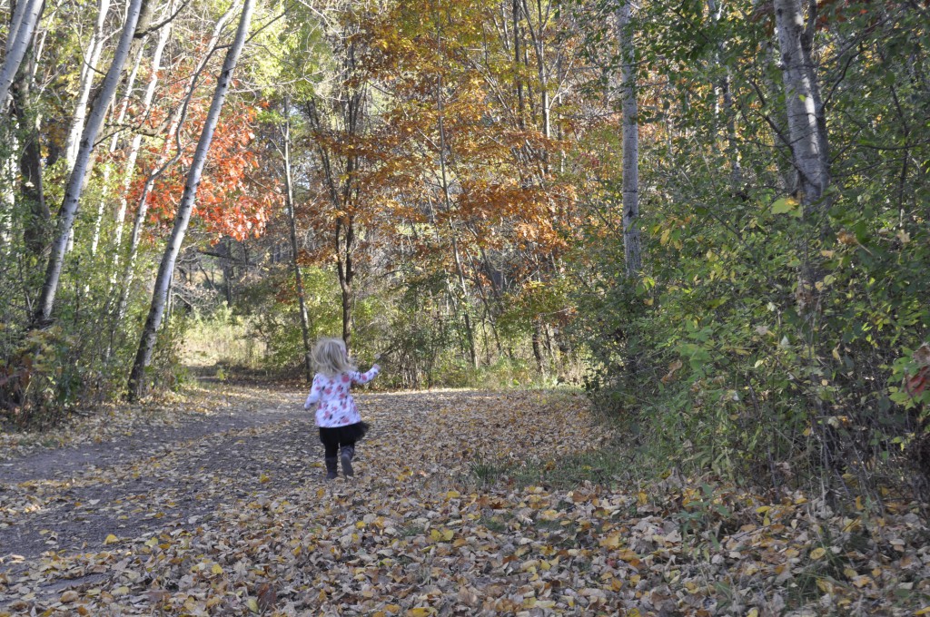 Lake Elmo Park Reserve