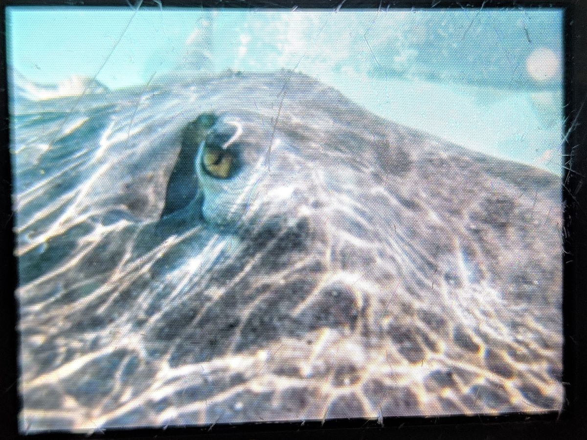 bimini - day 3