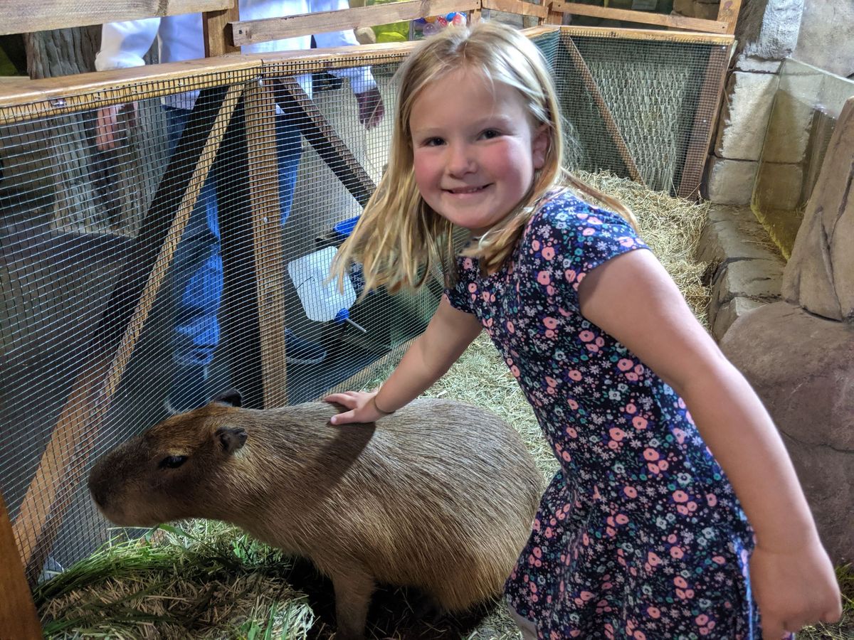 throwback thursday (june 11, 2019)