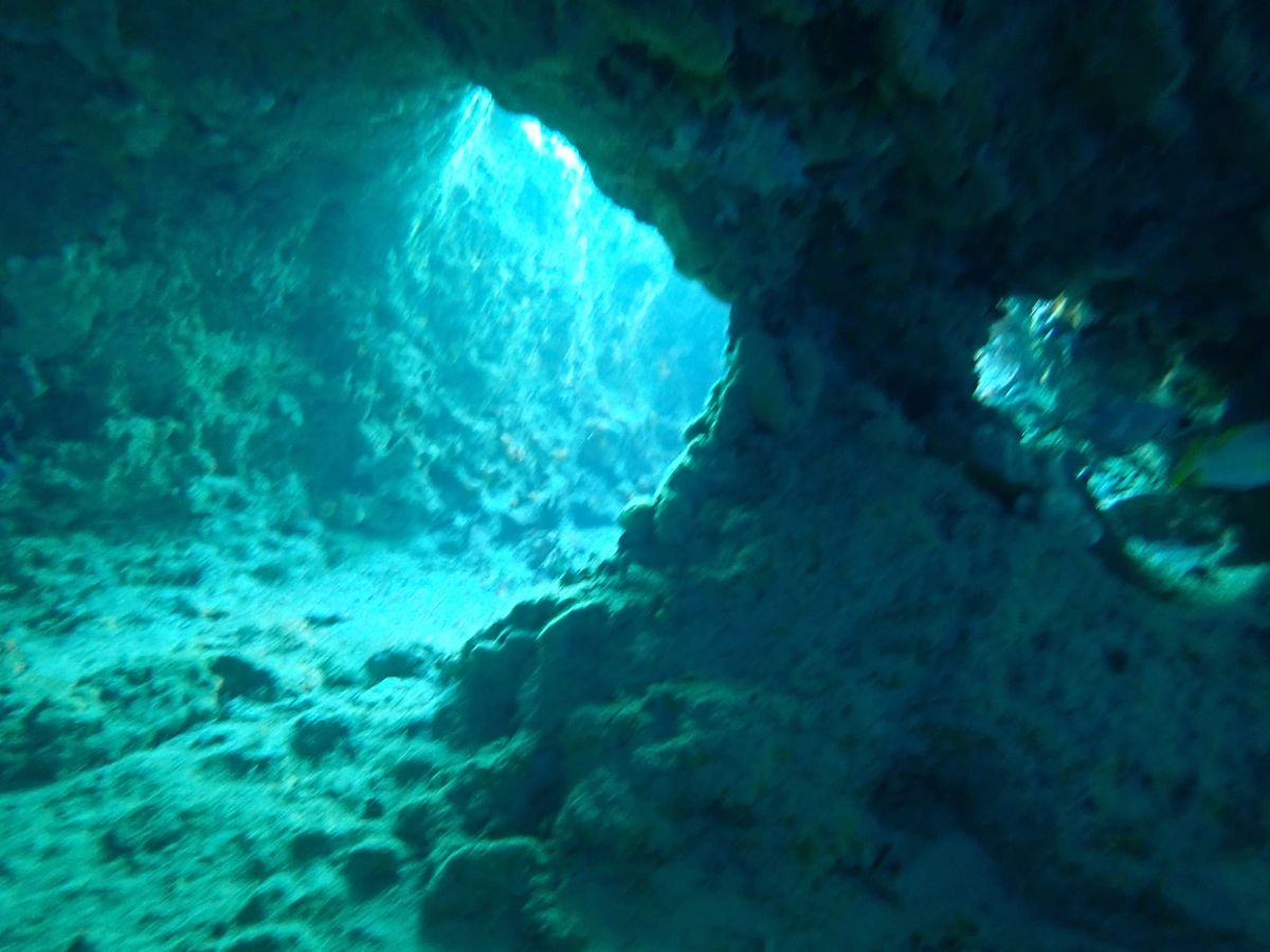 back to staniel cay, bahamas